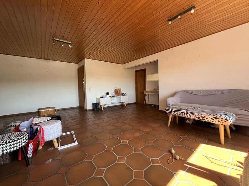 Mansarda con grande terrazza coperta (5)