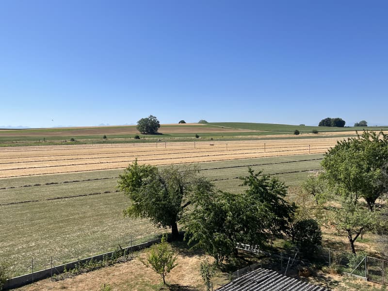 Mansarda con grande terrazza coperta (1)