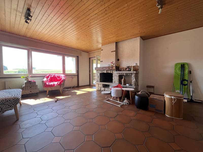 Mansarda con grande terrazza coperta (3)