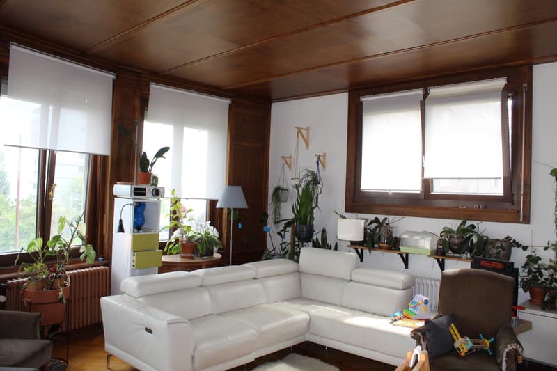 MAGNIFIQUE APPARTEMENT, AVEC VUE SUR LE LAC (4)