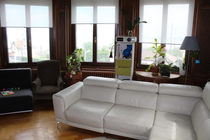 MAGNIFIQUE APPARTEMENT, AVEC VUE SUR LE LAC (6)