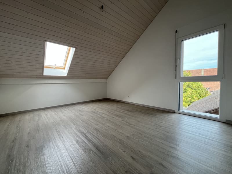 MAGNIFIQUE DUPLEX EN ATTIQUE (12)