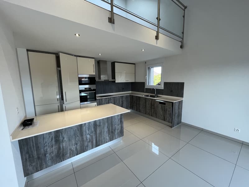 MAGNIFIQUE DUPLEX EN ATTIQUE (6)