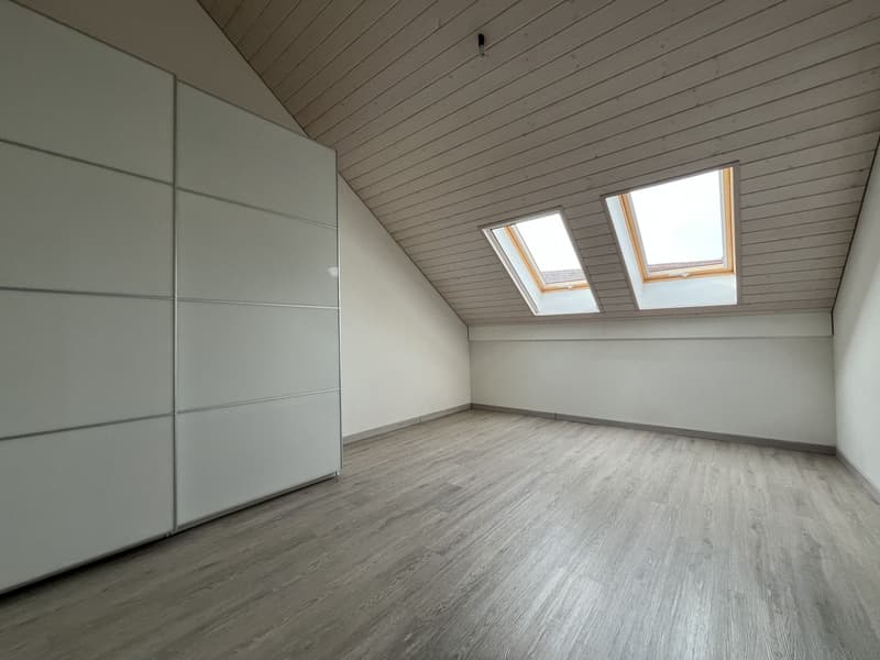 MAGNIFIQUE DUPLEX EN ATTIQUE (13)