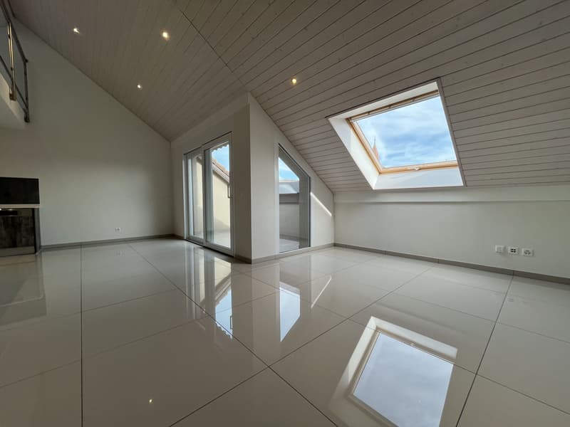MAGNIFIQUE DUPLEX EN ATTIQUE (2)