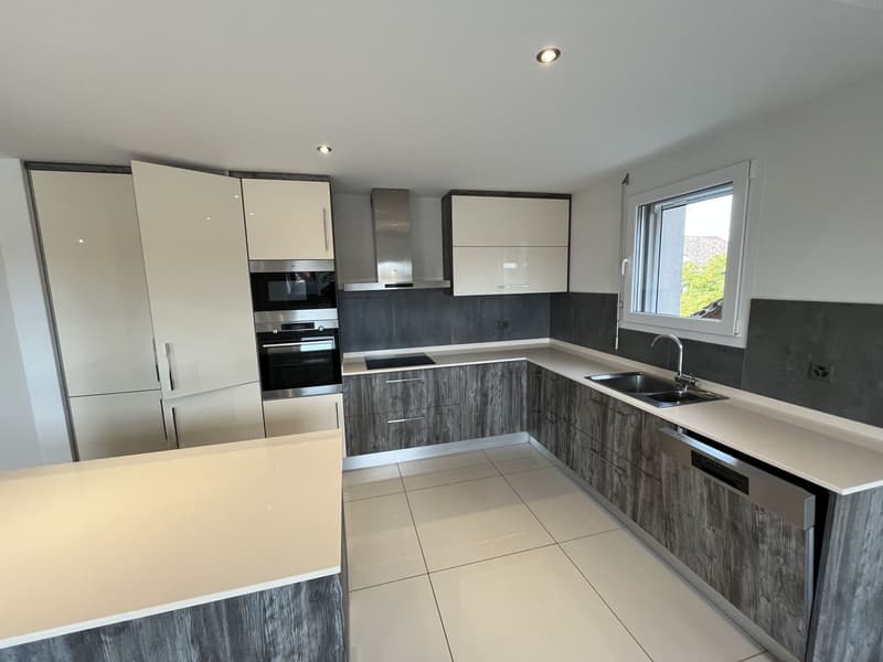 MAGNIFIQUE DUPLEX EN ATTIQUE (7)