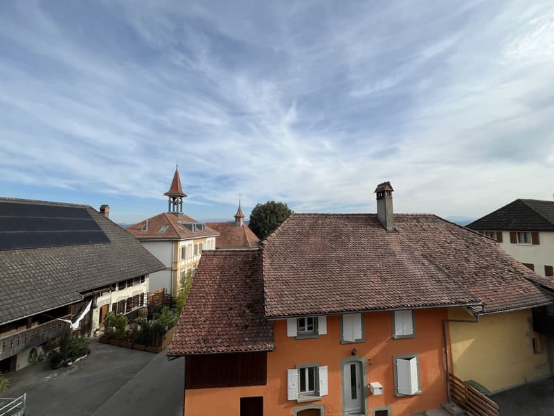 MAGNIFIQUE DUPLEX EN ATTIQUE (1)