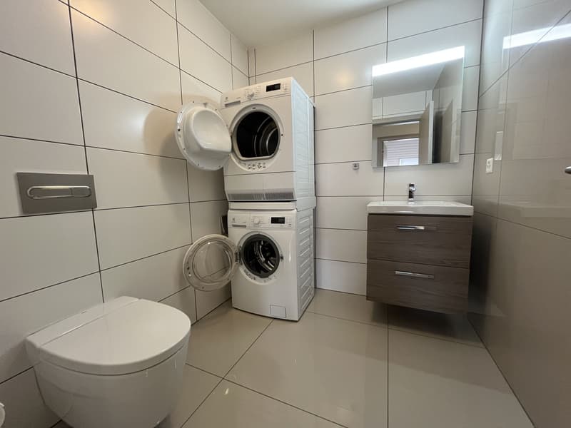 MAGNIFIQUE DUPLEX EN ATTIQUE (10)