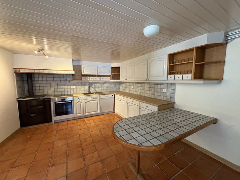 MAGNIFIQUE APPARTEMENT AVEC JARDIN PRIVATIF (8)
