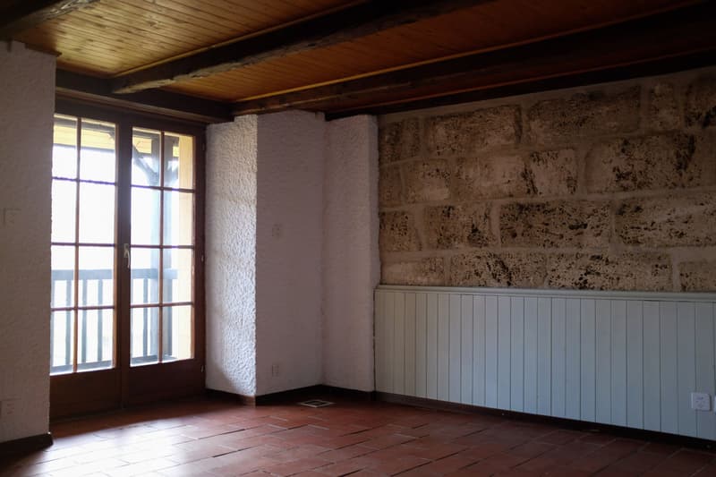 MAGNIFIQUE APPARTEMENT AVEC JARDIN PRIVATIF (7)