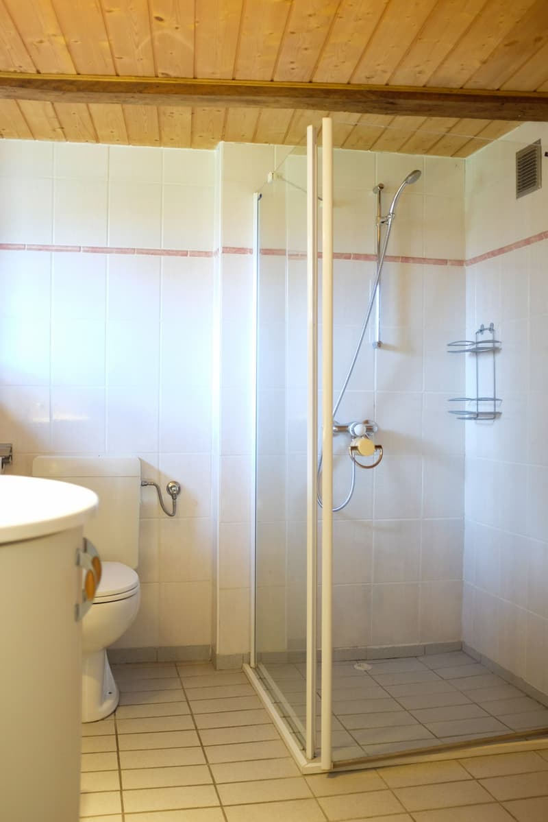 MAGNIFIQUE APPARTEMENT AVEC JARDIN PRIVATIF (6)