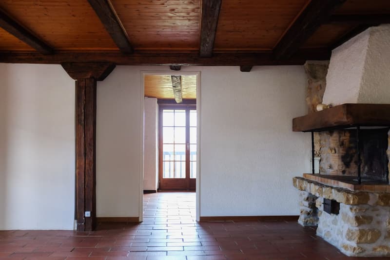 MAGNIFIQUE APPARTEMENT AVEC JARDIN PRIVATIF (5)