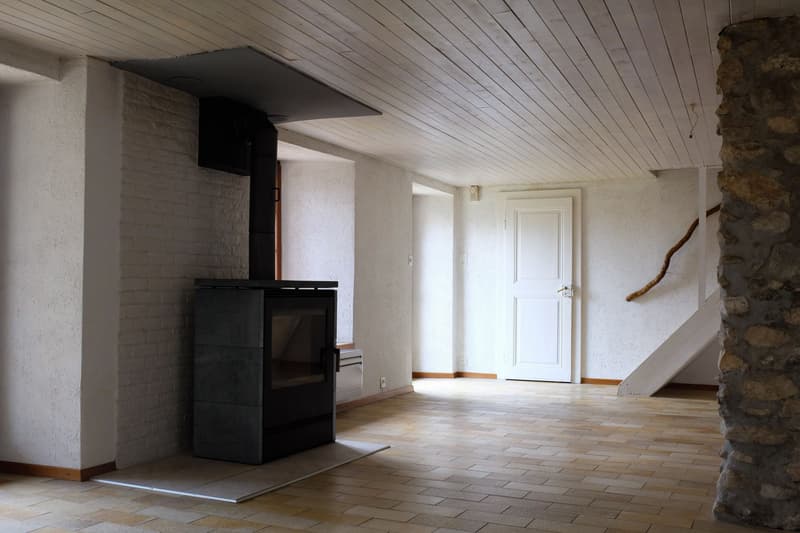 MAGNIFIQUE APPARTEMENT AVEC JARDIN PRIVATIF (2)
