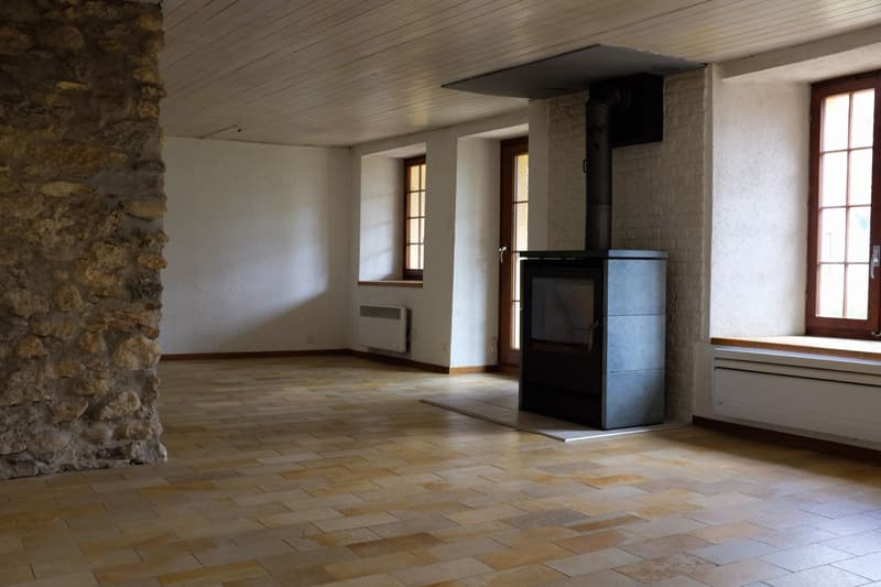 MAGNIFIQUE APPARTEMENT AVEC JARDIN PRIVATIF (3)