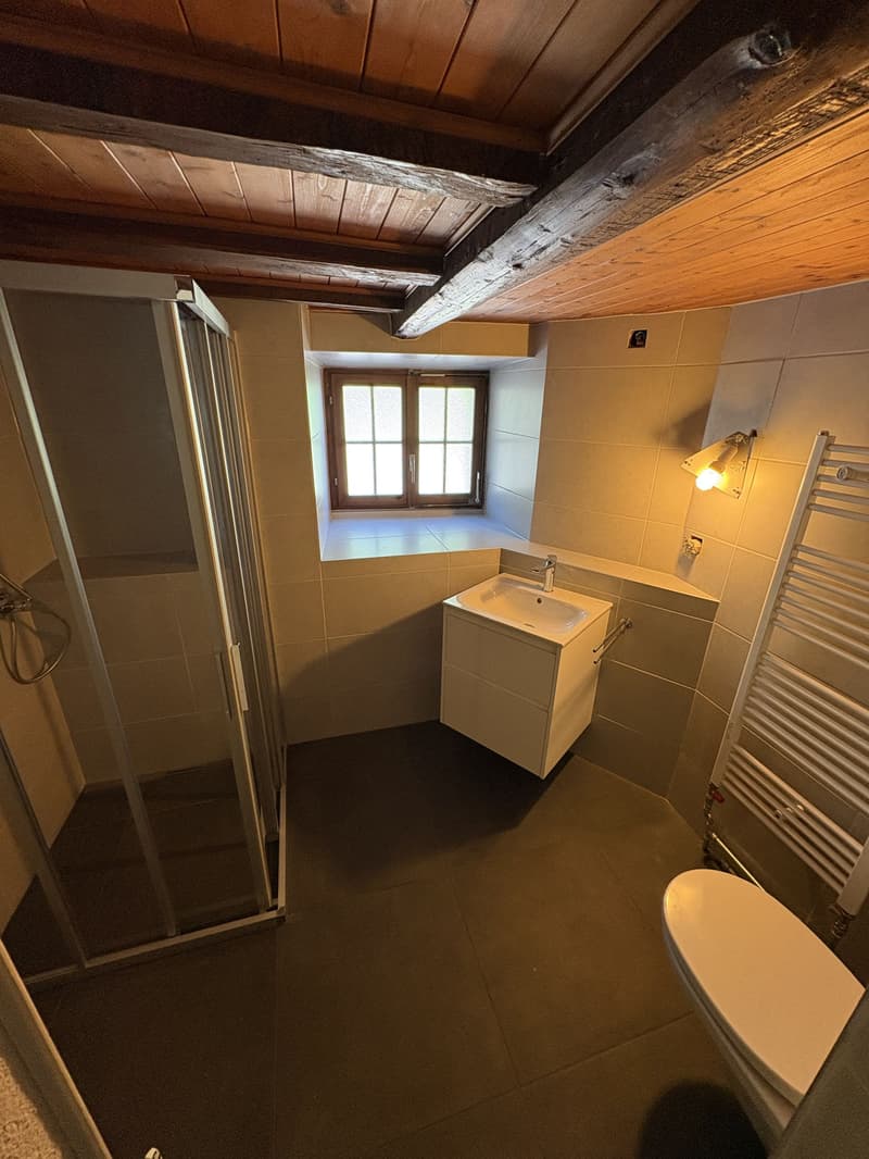 MAGNIFIQUE APPARTEMENT AVEC JARDIN PRIVATIF (13)