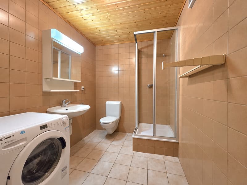 TRES JOLI 3 PIECES, AVEC JARDIN PRIVATIF (5)