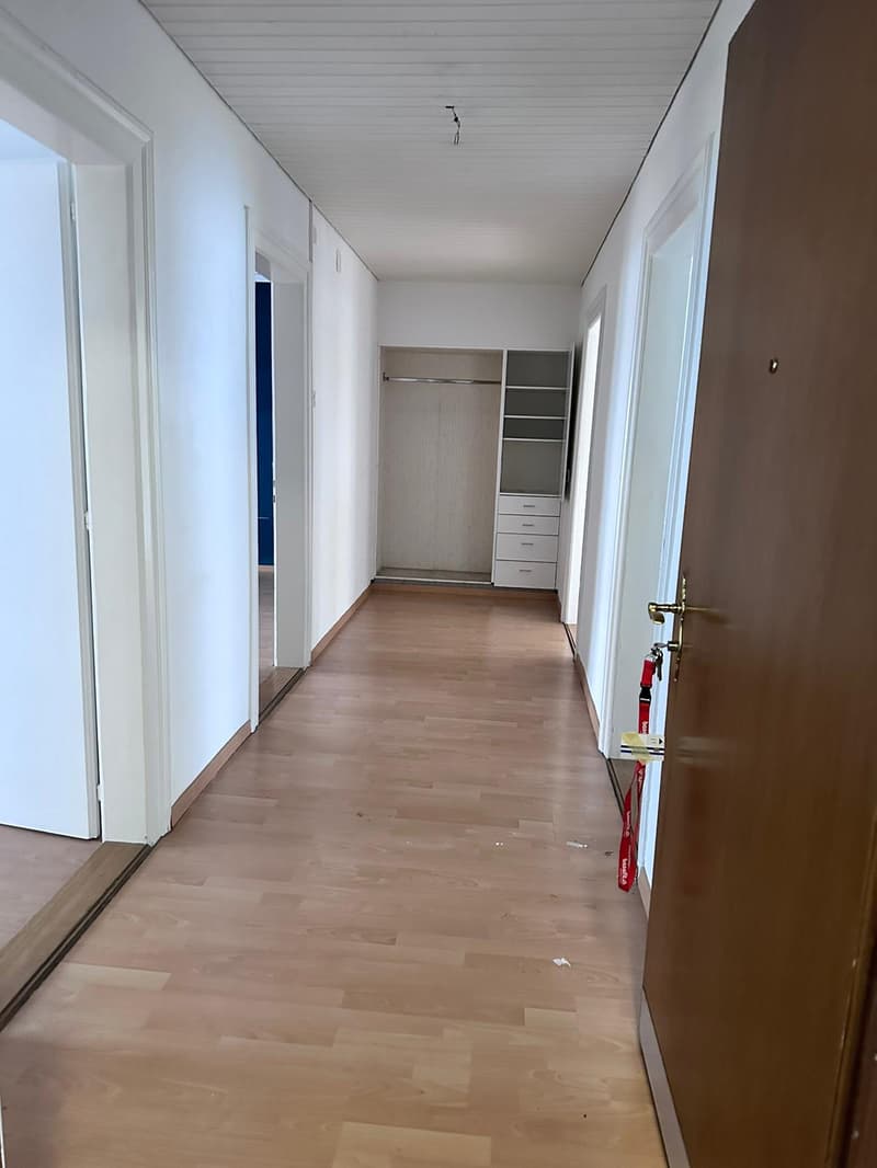 Befristete 4 Zimmer Wohnung nahe am Wipkingerplatz (1)
