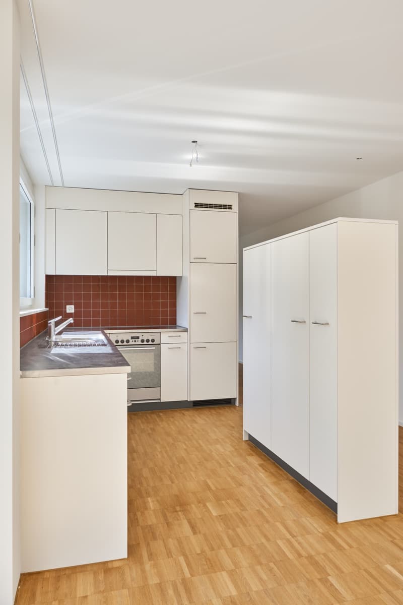 moderne Wohnung mit grosszügiger Dachterrasse (4)