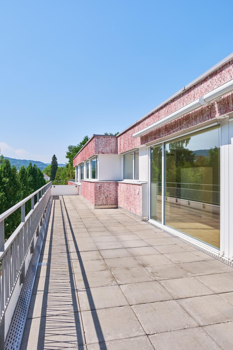 moderne Wohnung mit grosszügiger Dachterrasse (2)
