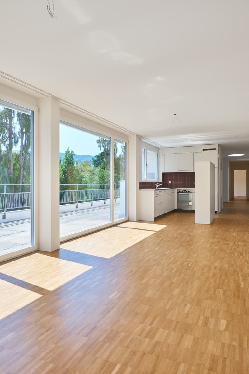 moderne Wohnung mit grosszügiger Dachterrasse (3)