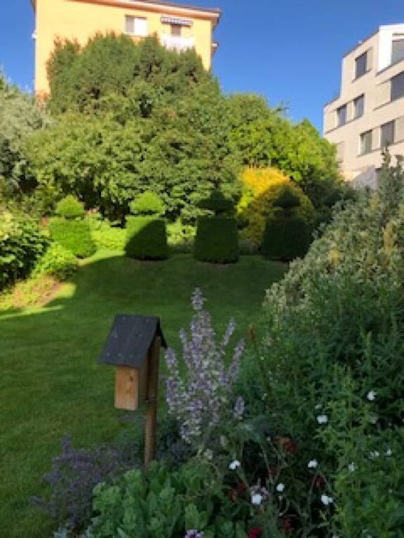 Garten hinter dem Haus