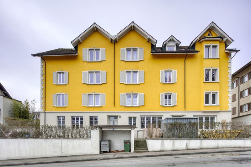 Gemütliche 1.5 Zimmer-Wohnung in Neuhausen am Rheinfall (1)