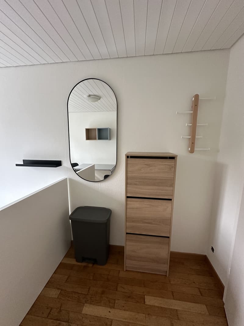 Modern möbliertes und zentrales Zimmer in Uster (4)