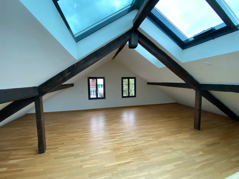 Attika-Loft in umgebauter Fabrik - urban und modern (3)