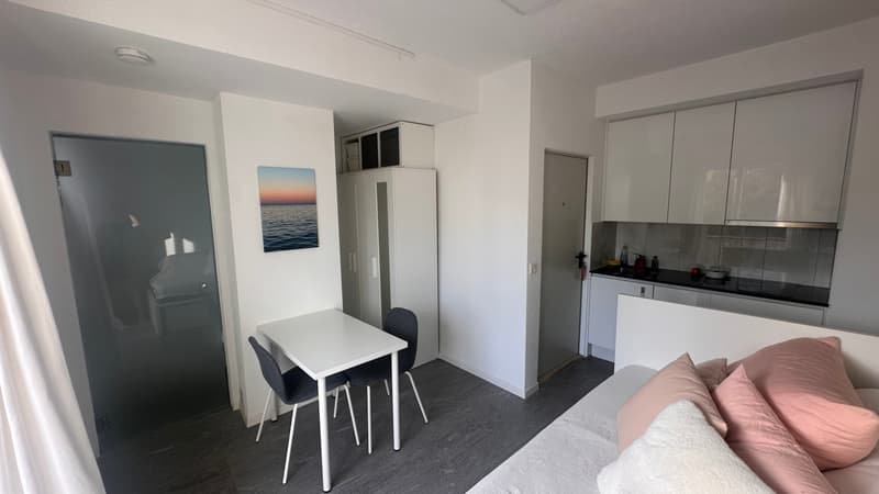 Studio mit Balkon an ruhiger Lage (3)