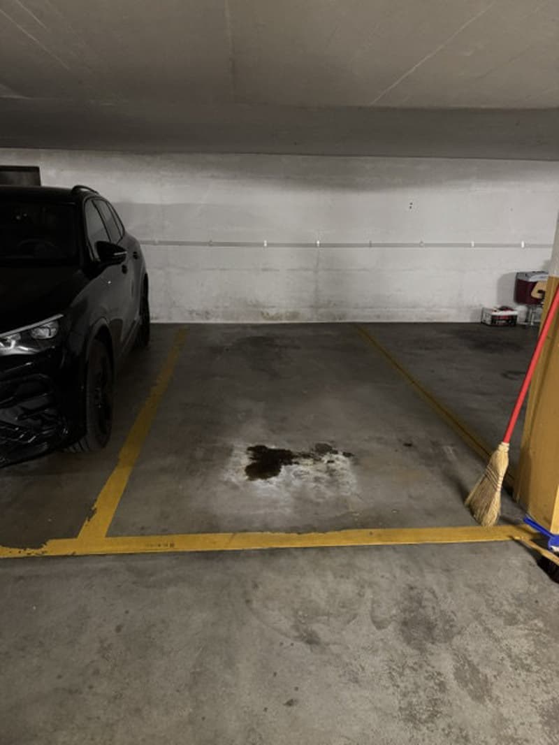 Garagenparkplatz zu vermieten (1)