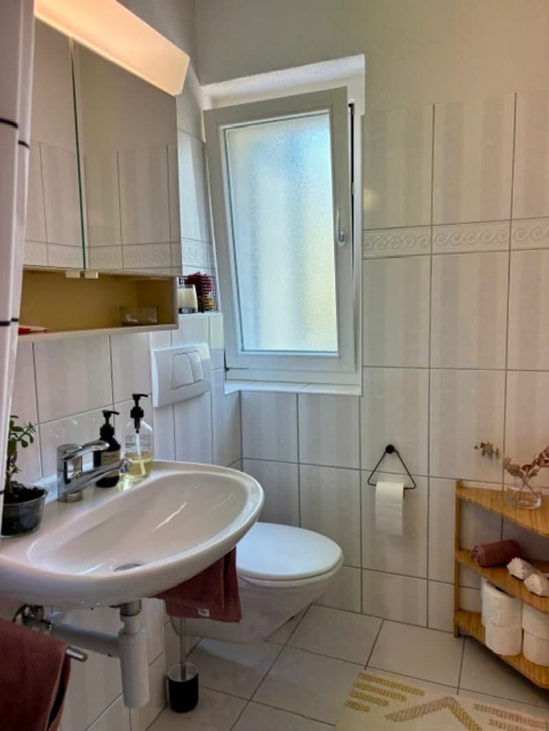 Grosszügige 2-Zimmerwohnung direkt an der Limmat (3)