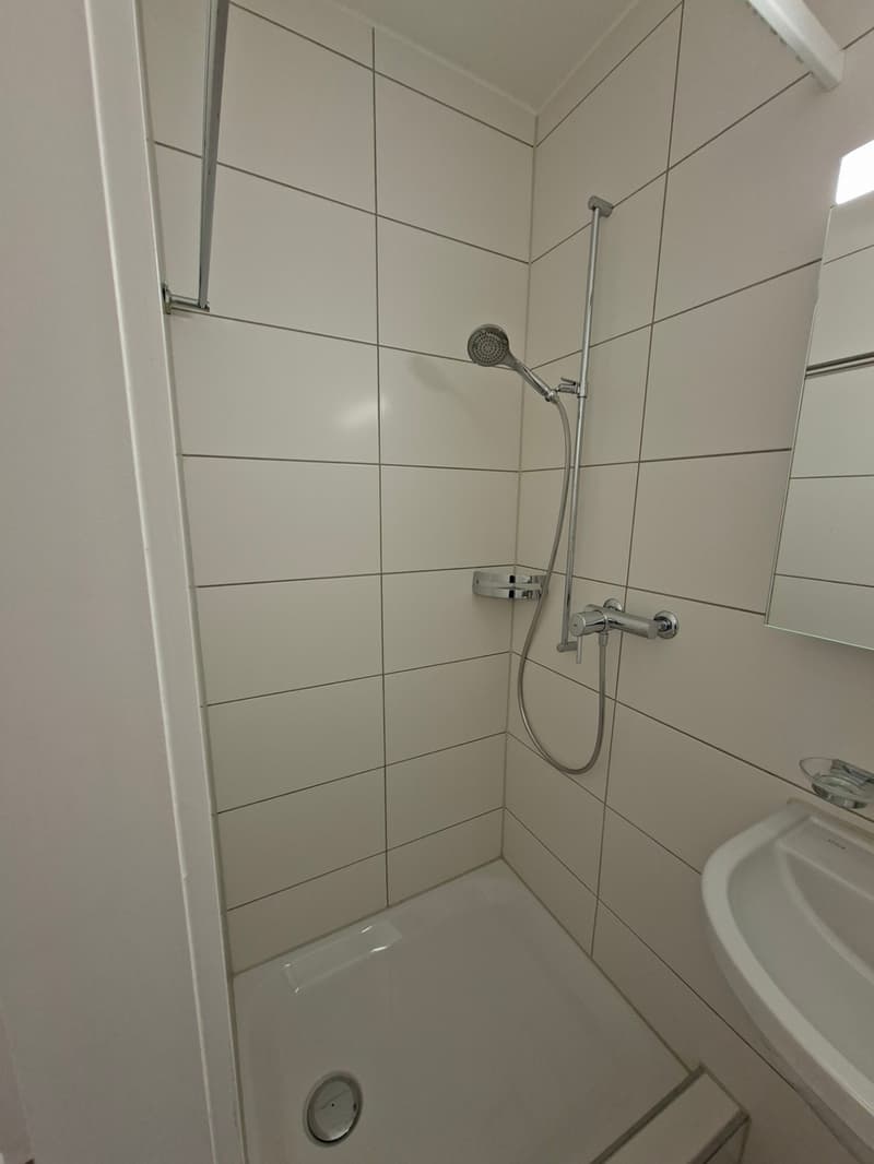 kleine, praktische Wohnung (4)