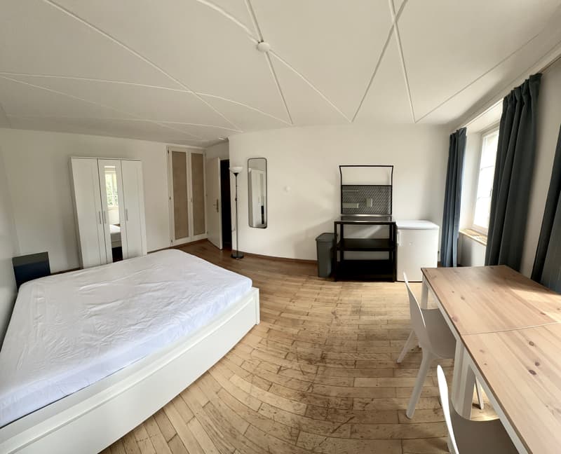 Grosszügiges und modern möbliertes Zimmer (3)