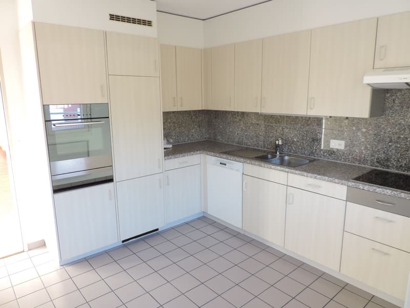 Appartamento mansardato di 4,5 locali con grande terrazza (3)