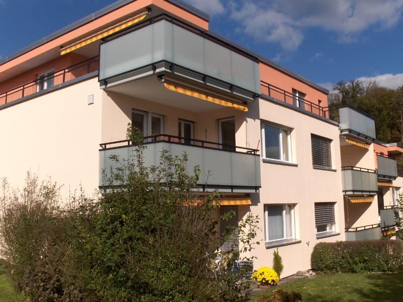 Appartamento mansardato di 4,5 locali con grande terrazza (1)
