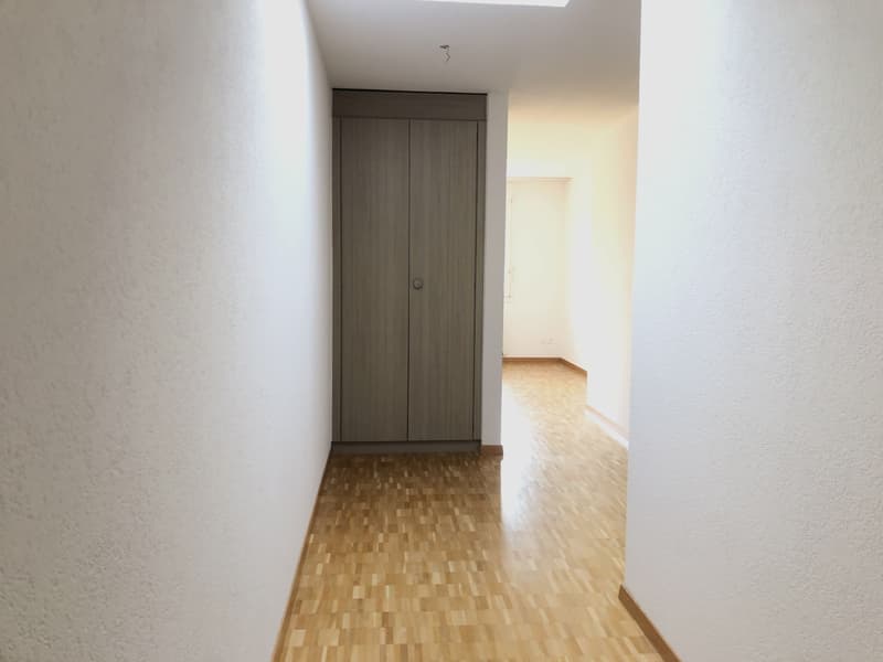Appartamento mansardato di 4,5 locali con grande terrazza (12)