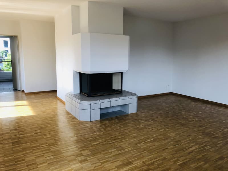 Appartamento mansardato di 4,5 locali con grande terrazza (4)