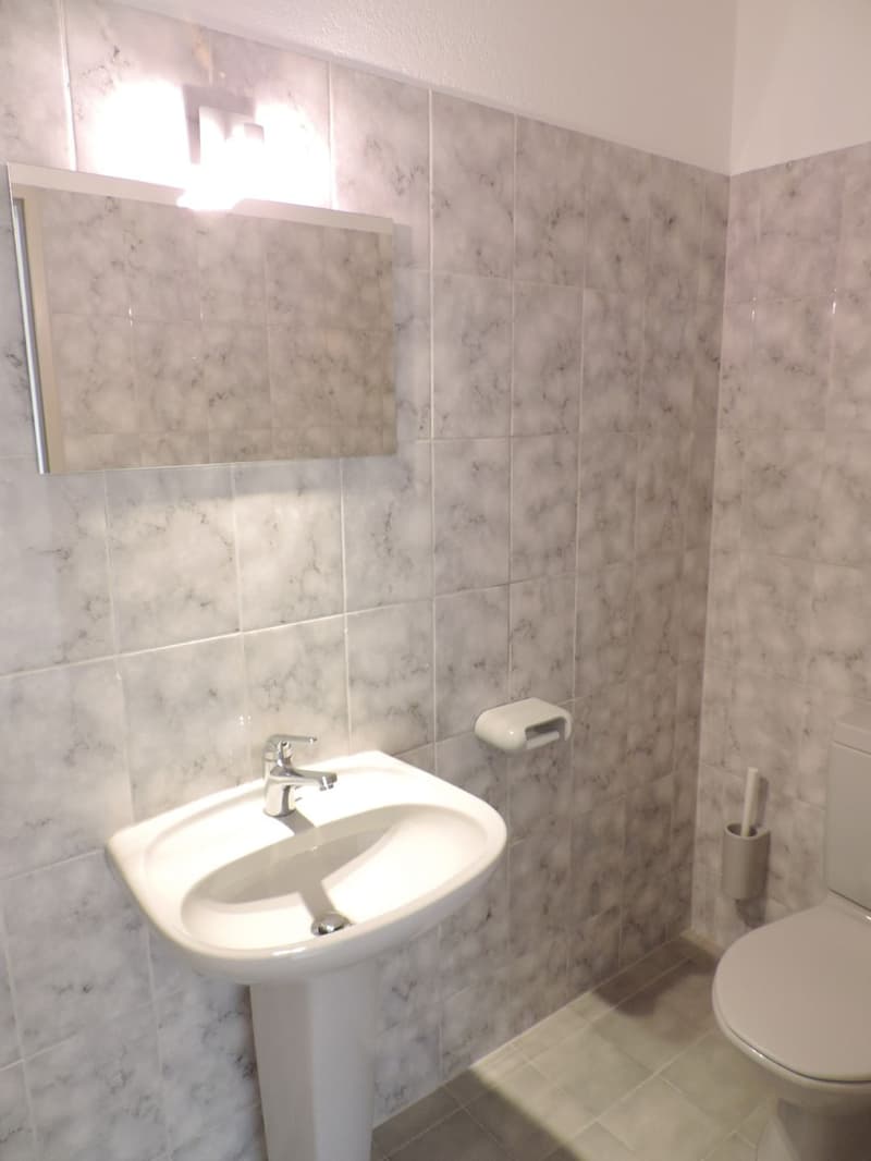 Appartamento mansardato di 4,5 locali con grande terrazza (8)