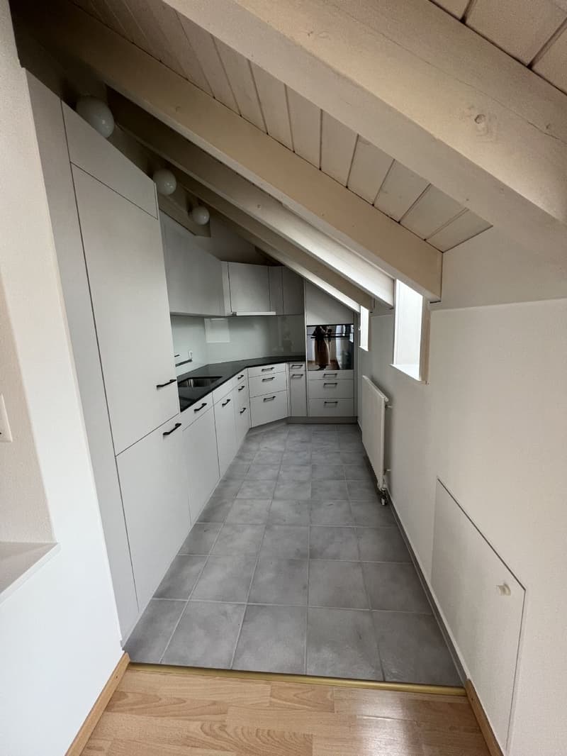 Central 2.5 room apartment with private laundry room (2)