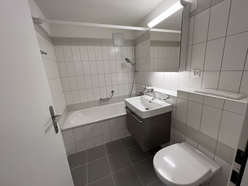 Central 2.5 room apartment with private laundry room (5)