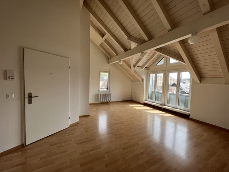 Central 2.5 room apartment with private laundry room (3)