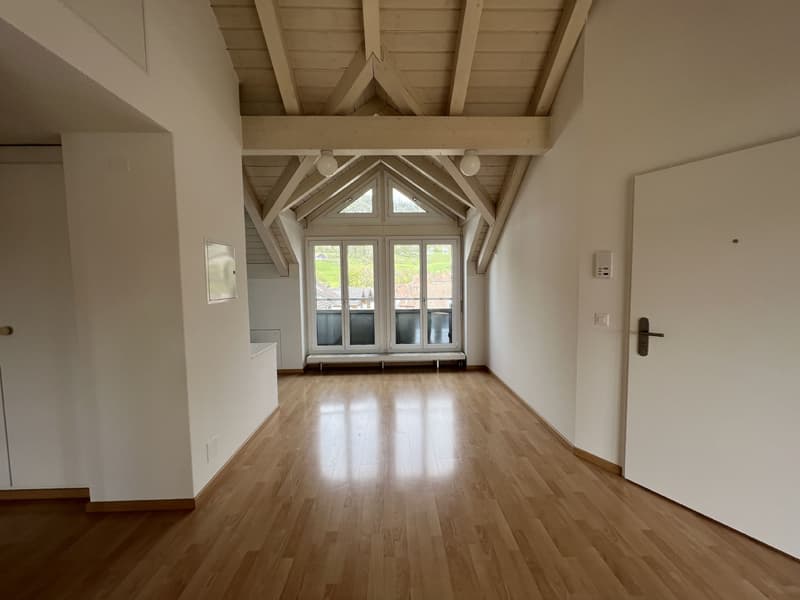 Central 2.5 room apartment with private laundry room (6)