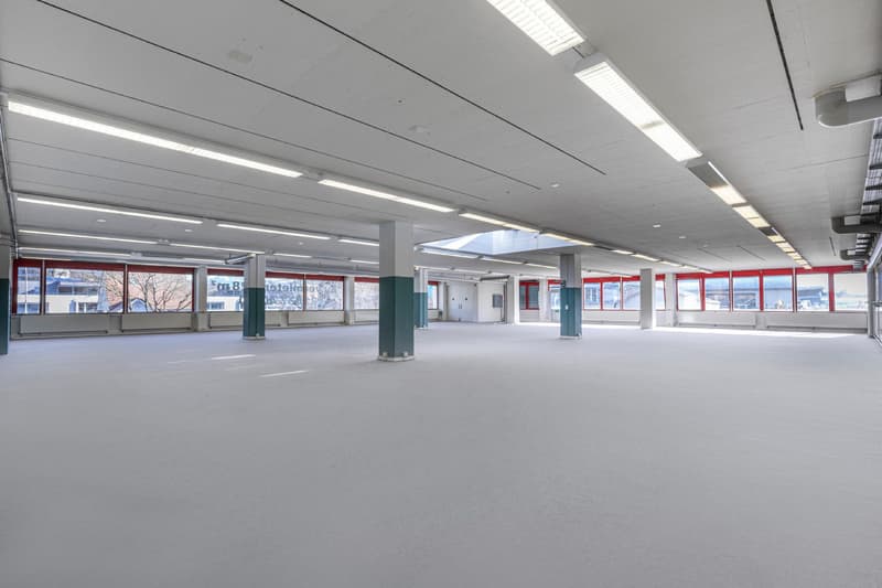 Spazio commerciale attraente (4)