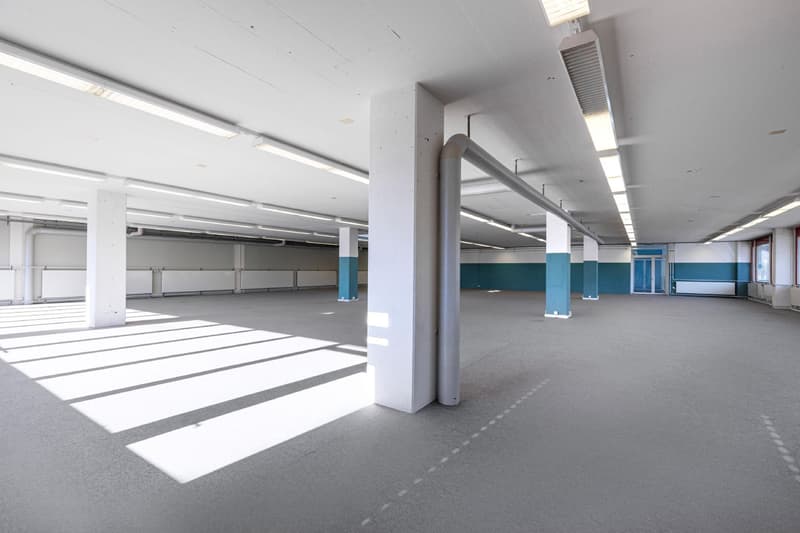 Spazio commerciale attraente (5)