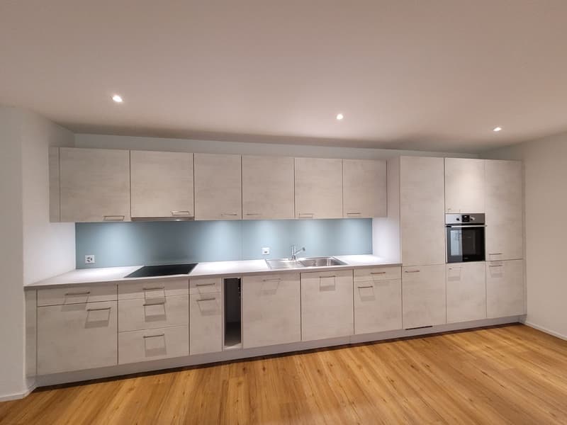 Great 5.5-room ground floor apartment (4)