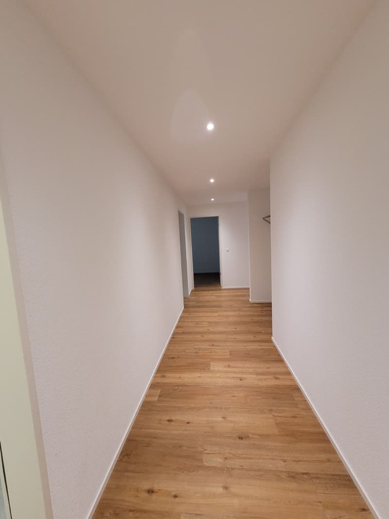 Great 5.5-room ground floor apartment (8)