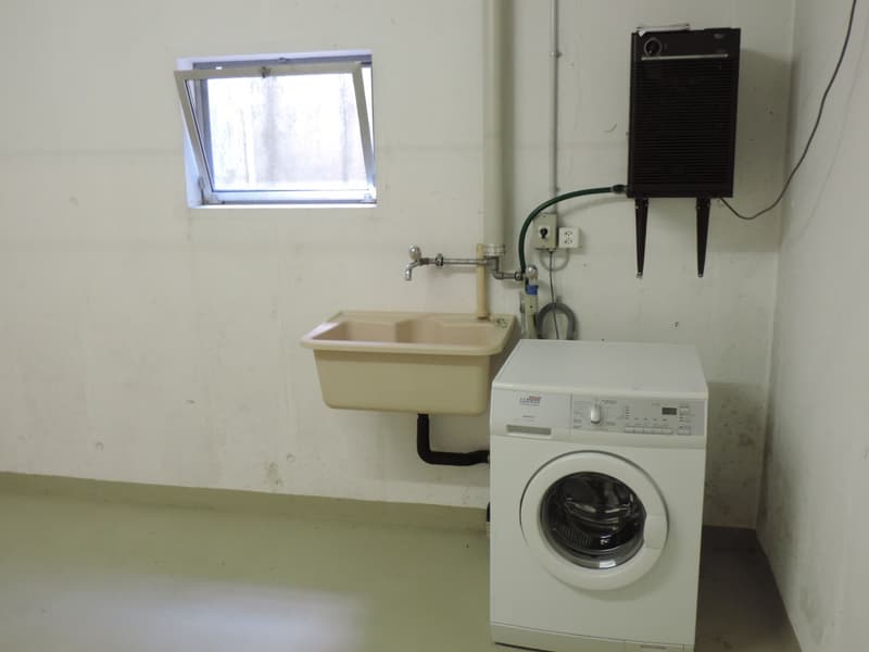 Sonnige 4.5 Zimmer-Wohnung (9)