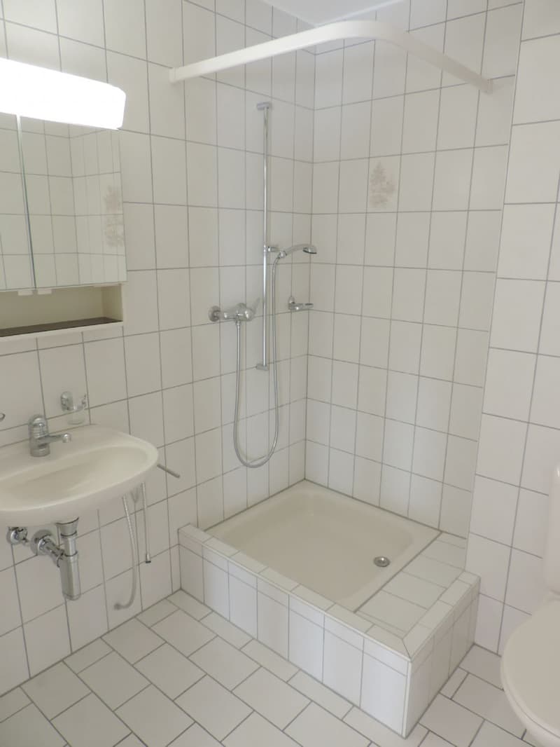 Sonnige 4.5 Zimmer-Wohnung (3)