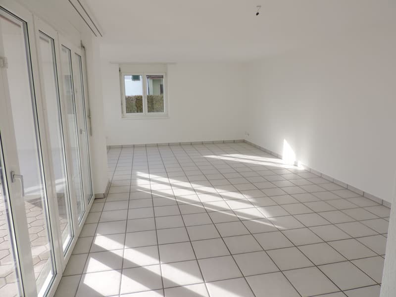 Sonnige 4.5 Zimmer-Wohnung (7)