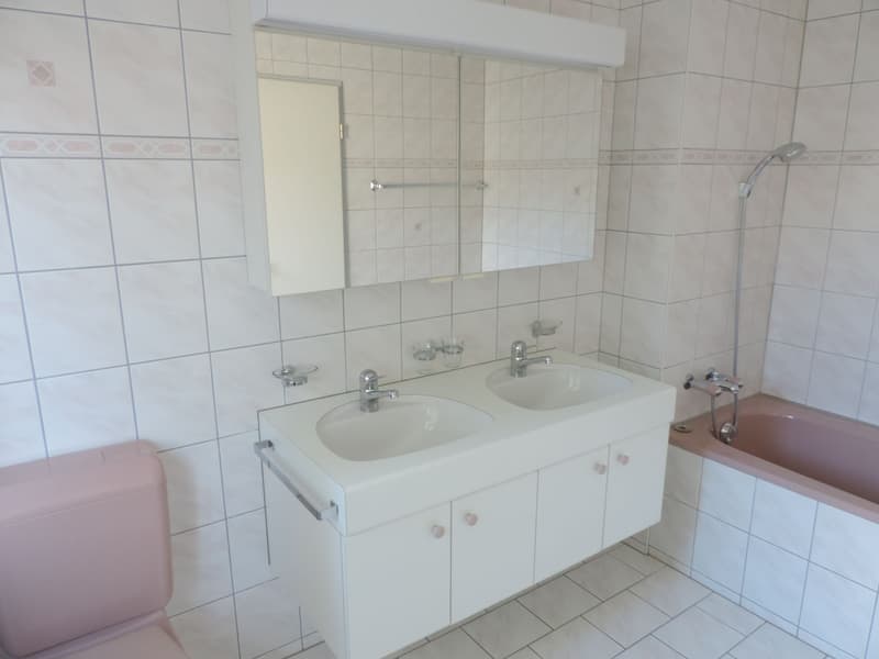 Sonnige 4.5 Zimmer-Wohnung (2)